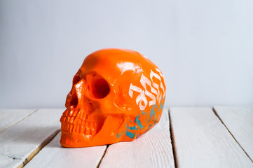 skull on the white wall and wood background