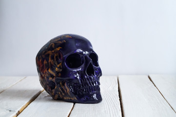 skull on the white wall and wood background