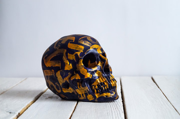 skull on the white wall and wood background