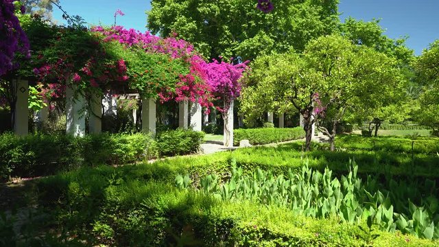 Maria Luisa Park on a sunny morning, Seville, Andalusia, Spain.