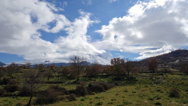 uii