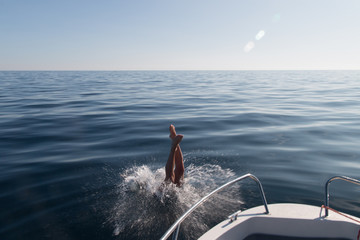 Sprung ins Wasser