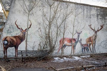 Abandoned building in Chernobyl Exclusion Zone, Ukraine