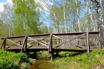 The wooden bridge in the birch forest.