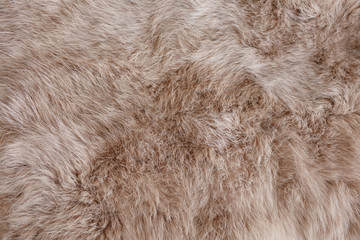 brown rabbit fur Texture, animal skin background