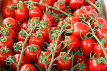 fresh tomatoes in a box