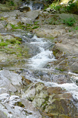 Fototapeta premium Water from a spring in the forests flowing down from the mountains in the Ardeche area in France