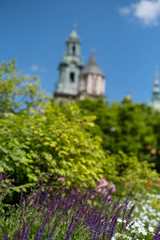 Wawel Castle and flowers in Krakow, Poland