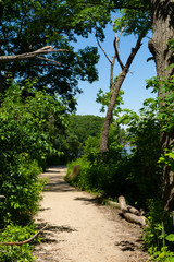 Fototapeta premium Along the River Trail