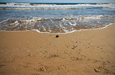 Shore of the sea on the beach, sunny day