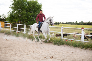 Young guy in casual outfit riding white horse on sandy ground