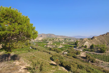 Naklejka premium Villanueva del Río Segura, Murcia, España