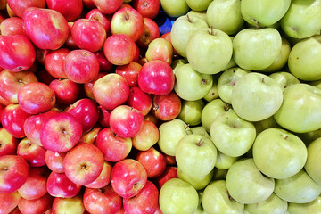 Fruit Red and Green Organic Apple