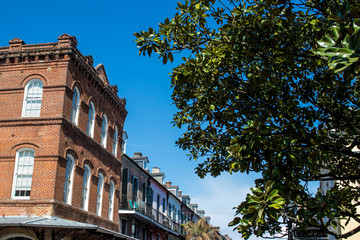 Obraz premium Magnolia Tree Blooms over the French Market while Traditional, Brick, Colonial Buildings Line the Sidewalk across the Street in New Orleans, Louisiana, USA