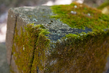 a stone block with moss