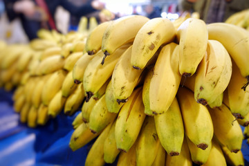 Fresh Tropical Fruit Banana