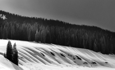 Black and white photograph of snowy landscape with rolling hill-covered trees and dramatic sky