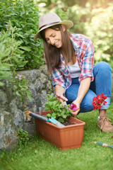 Cute Caucasian brunette with hat on head and in working clothes crouchig and pruning flowers while crouching in backyard.