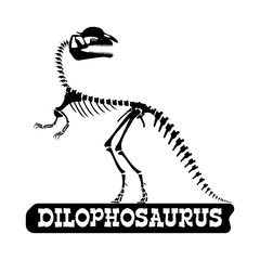 Dinosaur skeleton. Dilophosaurus. Silhouette on isolated background. Sticker, magnet. Vector