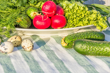 Still life with fresh summer vegetables, macro