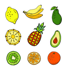 Tropical fruits vector set isolated vector.