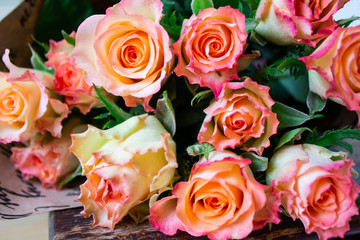 Yellow flower. Flower in garden at sunny summer or spring day. Flower for postcard beauty decoration and agriculture concept design. Beautiful flower in tropical garden. Colorful flower. flower patter