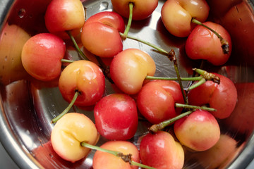 Rainier Cherries in a silver bowl. Premium delicious fruit. Only found for a short window of time in the summer. Life is just a bowl of cherries.