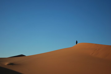 Fototapeta na wymiar woman in desert