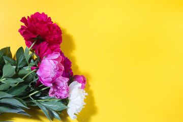 colorful peony bouquet on a yellow background