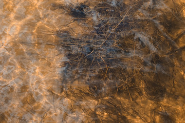 Unusual vision of the camera above the water. Through the clear water, various plants that grow in the Ladoga Lake in St. Petersburg are clearly visible. Disorderly shoots look very nice at the bottom