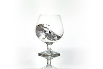 Water spray in wineglass. Water splash.
