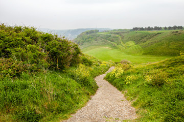 Green fields of Etretat, Atlantic coast in France