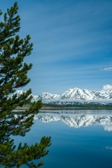 Fototapeta na wymiar Vertical photo of snowy mountains reflecting in beautiful, still lake with pine tree in immediate foreground 