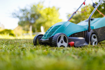 Electric lawn mower cuts moss and green grass. The alignment of the green lawn with the mower. Close-up in front of a green lawn mower on wheels on the background of the garden - obrazy, fototapety, plakaty