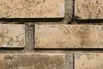 Bricks Detail