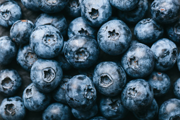 Fresh blueberry background. Texture blueberry berries close up. Vegan and vegetarian concept.