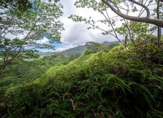Obraz na płótnie Canvas Kuilau Ridge