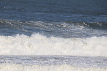 海の波