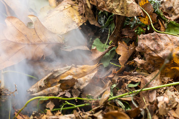 Burning pile of dry leaves and plants during typical autumn garden work