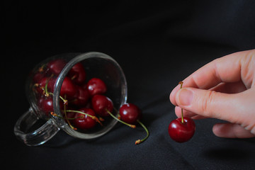 female hand takes ripe red cherry berries from overturned glass cup with berries on a black background
