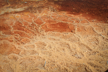 Canary Spring of the Mammoth Hot Springs in Yellowstone National Park