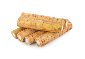 fresh burdock root or Gobo on white background