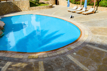 View on a swimming pool with turquoise clear water