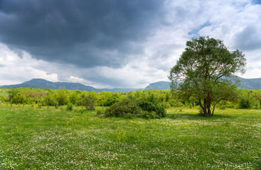 Fototapeta na wymiar Green beautyful mountains near Bahchisaray, Crimea