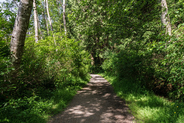 easy hiking trail in the park near Killarney Lake Bowen island british columbia.