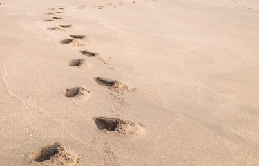 footprints on the beach