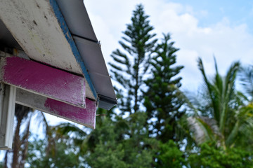 closeup of roof rafters on an old structure