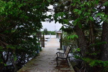 tree covered deck leading to a pier