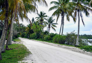 Sandy road at a florida waterway in the backcountry