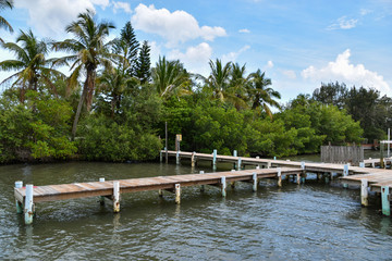 wooden pier on a florida waterway